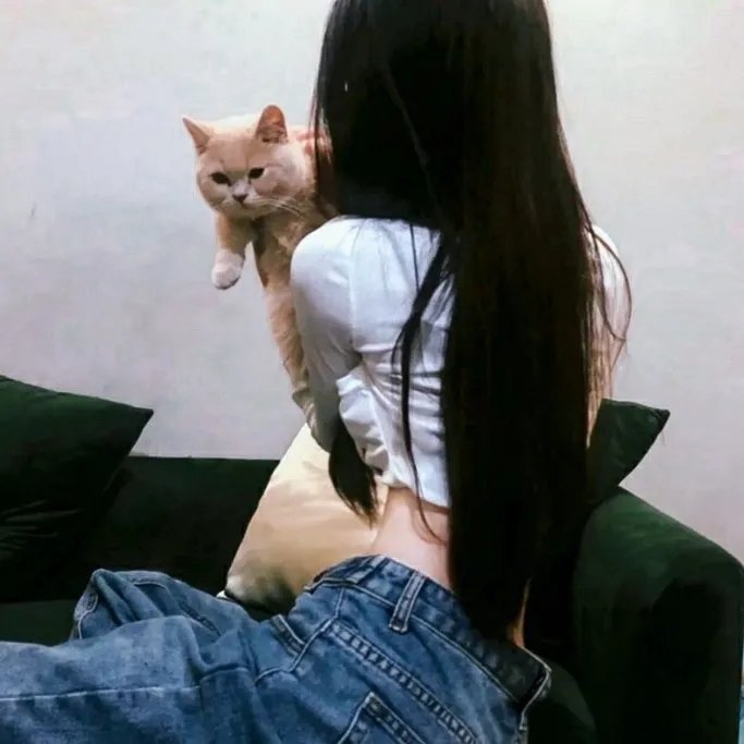 巴德美因霍夫